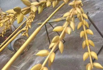 水景水稻雕塑廠家 風景區幾何雕塑廠家 廣場小品