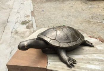 城市海龜雕塑 風景區彩繪雕塑 抽象擺件