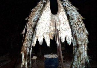 城市翅膀雕塑，網格燈光雕塑，古銅效果